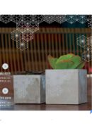 עציץ בטון גדול