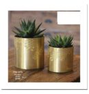 עציץ ציפוי פליז