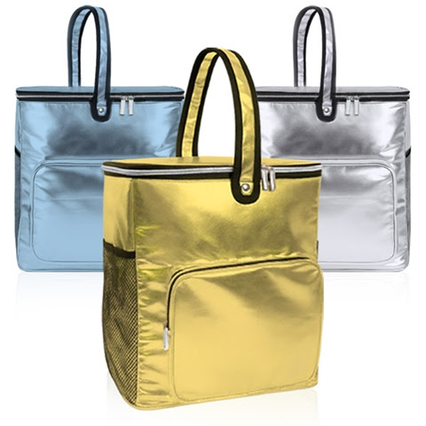 צידנית מעוצבת צידנית מעוצבת