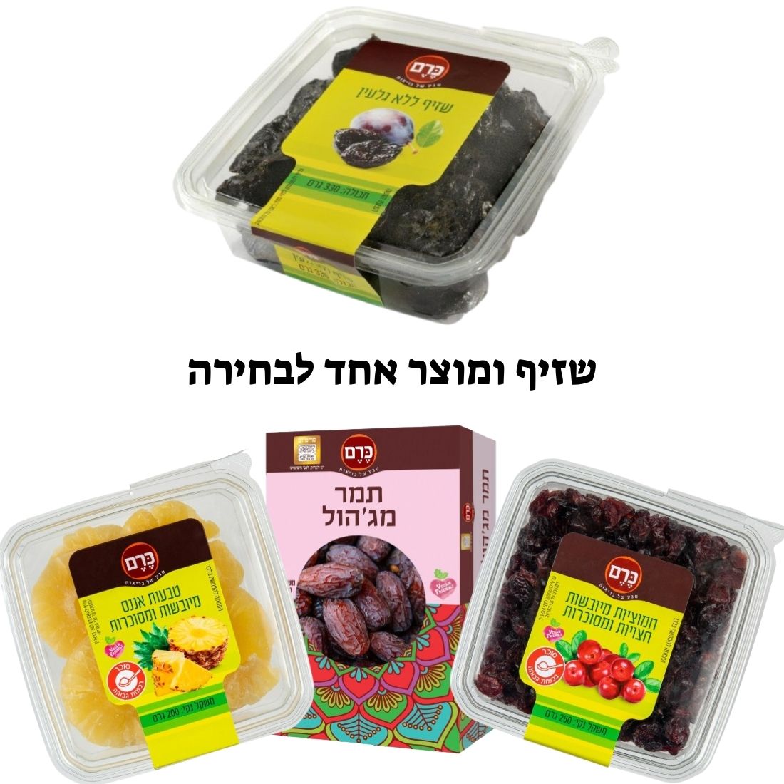 פירות יבשים פירות יבשים
